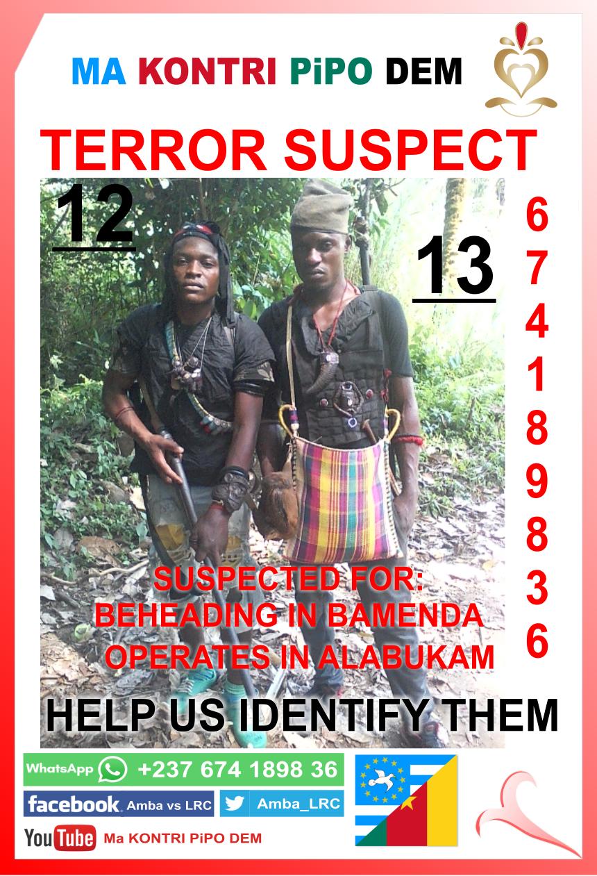 Terror Suspect 12 13