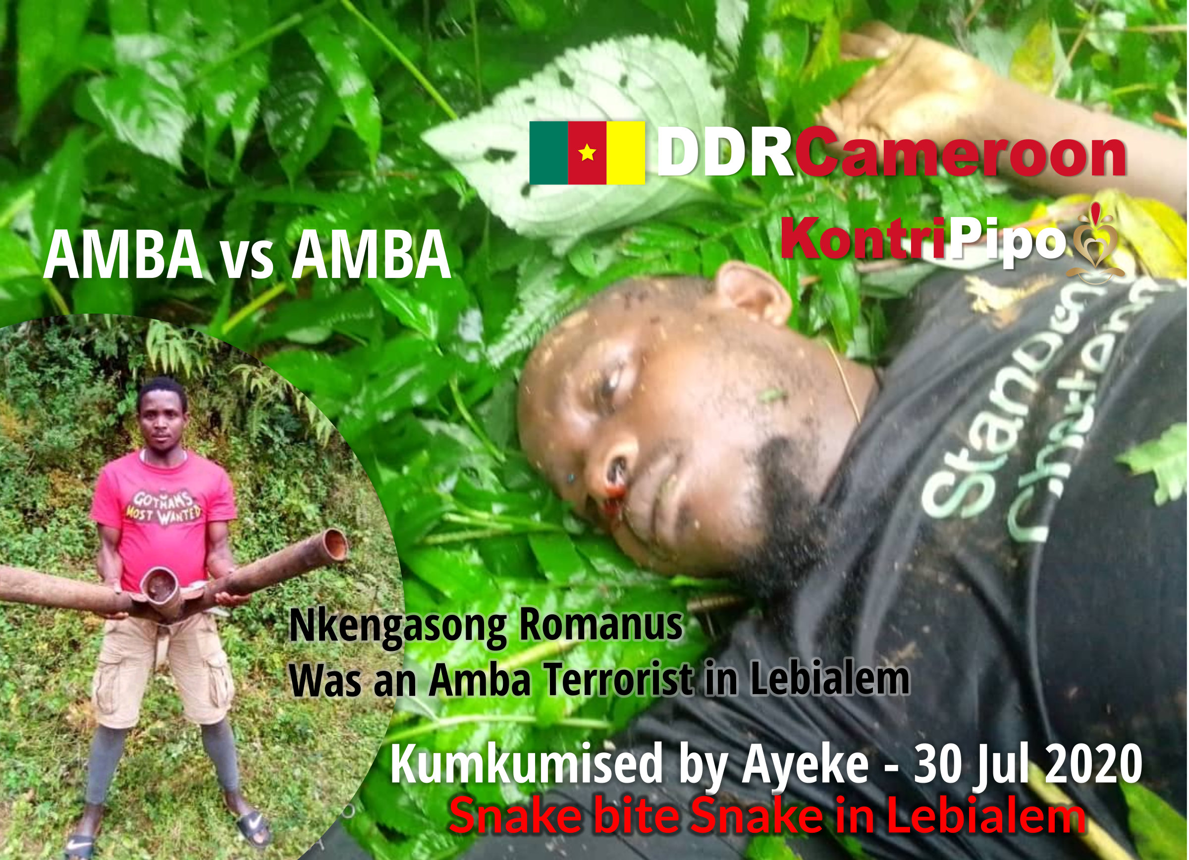 The notorious Ambazonia Terrorist called Nkengasong Romanus and his so-called body Guard have been Kumkumised by Ayeke, in Lebialem, 30 July 2020.