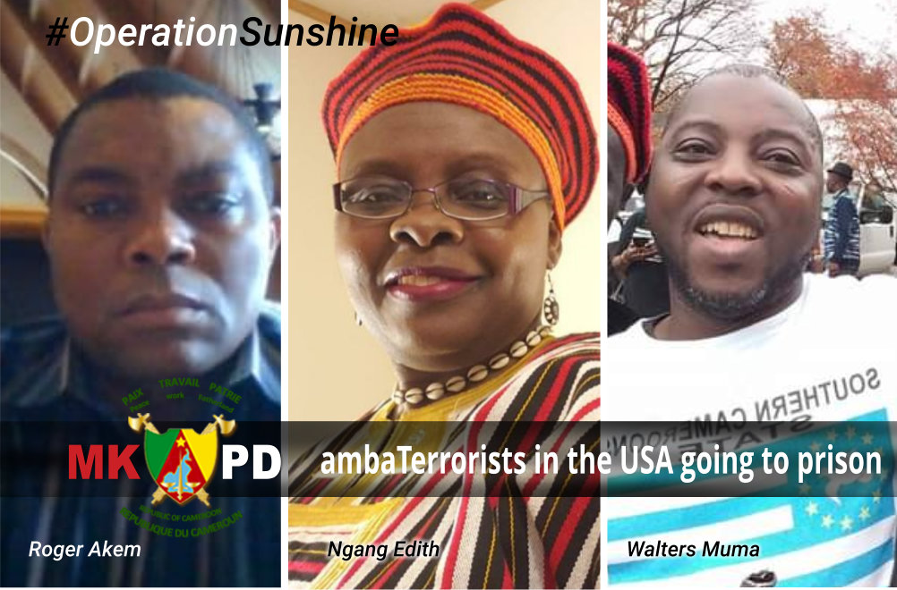 amba terrorists (Roger Akem, Edith Ngang, Walters Muma) in the usa going to prison soon