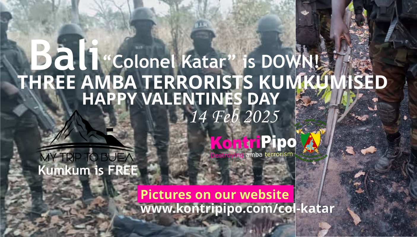 Colonel Katar is down Bali 14 Feb 2025